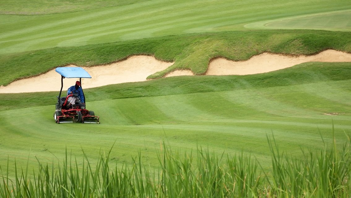 Groundskeeper mowing the green golf course.